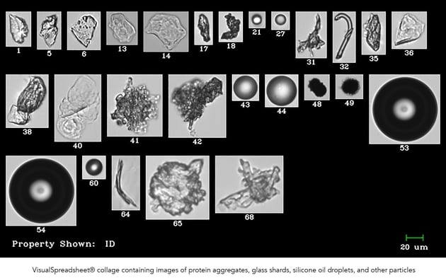 Protein agglomerates, intrinsic, extrinsic and external particles as imaged by the FlowCam