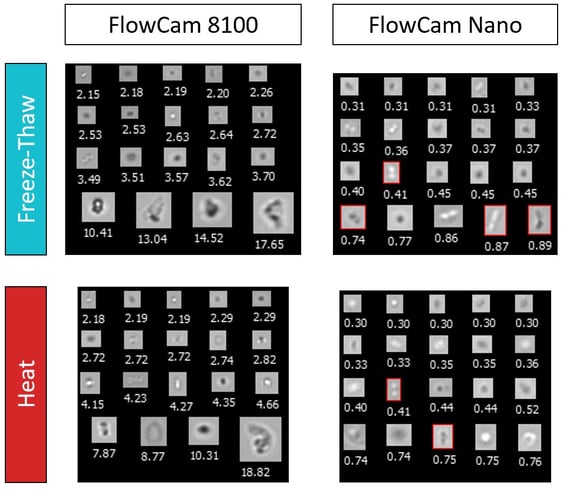 FlowCam Nano and 8100 images after heat and freeze-thaw stress study