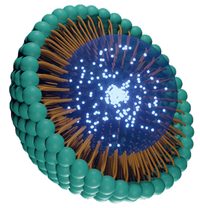 3D rendering of lipid nanoparticle