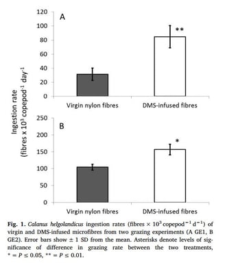 Procter et al 2019